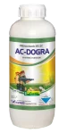 AC-Dogra