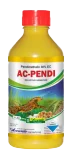 AC-Pendi