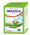 Imazica