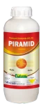 Piramid