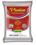 Planton