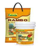 Rambo