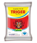 Triger