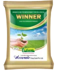 Winner